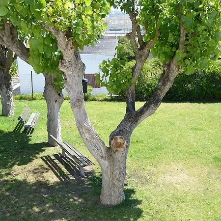 Panzió Mares Vivas Lourinhã