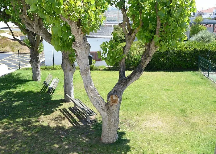 ベッド・アンド・ブレックファスト Mares Vivas ロウリニャン